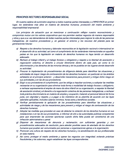 principios rectores 02