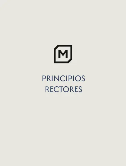 principios rectores