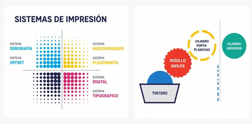 grupo mimo solme bio 01