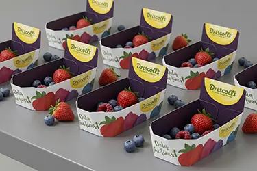 industria agroalimentaria